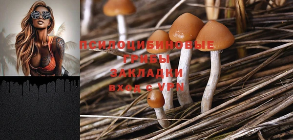 гидропоника Абдулино