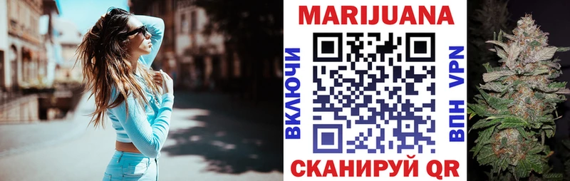 Шишки марихуана сатива  где купить наркоту  Сычёвка 